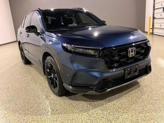 HONDA PILOT 2019 5FNYF6H08KB040422 image