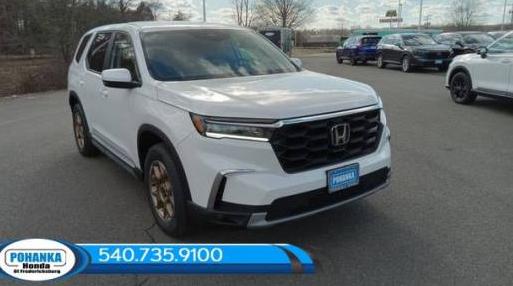 HONDA PILOT 2024 5FNYG1H43RB045797 image