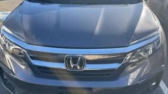 HONDA PILOT 2022 5FNYF6H53NB003567 image