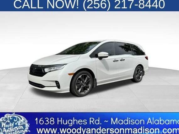 HONDA ODYSSEY 2023 5FNRL6H99PB026354 image