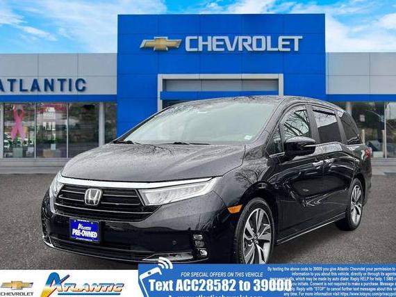 HONDA ODYSSEY 2023 5FNRL6H81PB012858 image