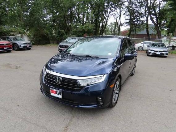 HONDA ODYSSEY 2023 5FNRL6H86PB059514 image