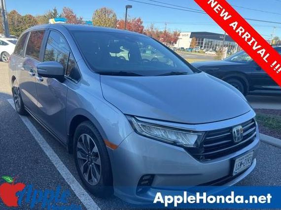 HONDA ODYSSEY 2023 5FNRL6H60PB071172 image