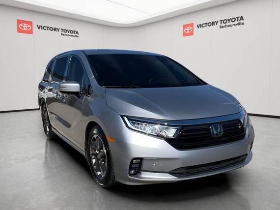HONDA ODYSSEY 2023 5FNRL6H99PB065073 image