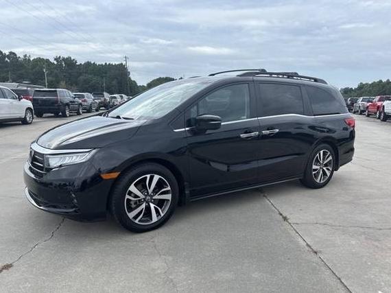 HONDA ODYSSEY 2023 5FNRL6H80PB054227 image