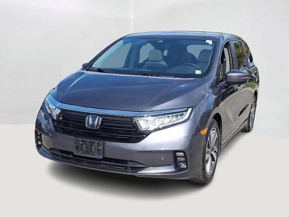HONDA ODYSSEY 2023 5FNRL6H81PB002086 image