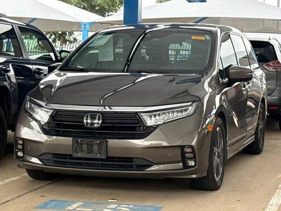 HONDA ODYSSEY 2023 5FNRL6H95PB009647 image