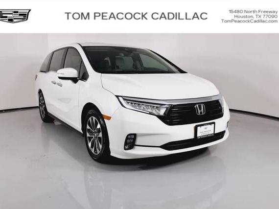HONDA ODYSSEY 2023 5FNRL6H64PB020144 image