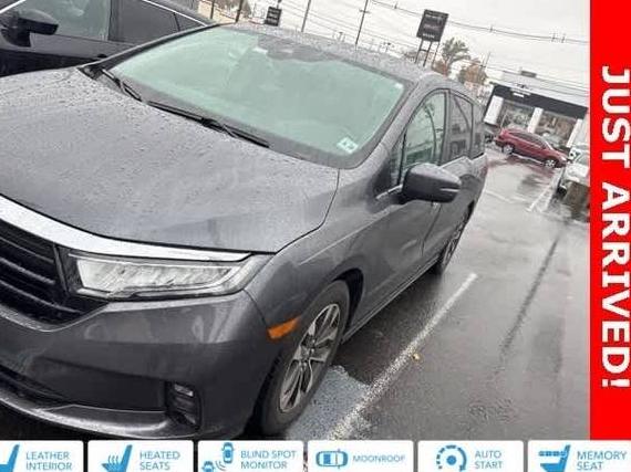 HONDA ODYSSEY 2023 5FNRL6H63PB054026 image