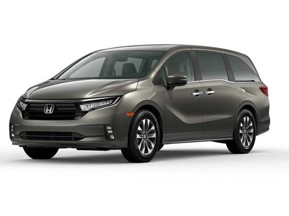 HONDA ODYSSEY 2023 5FNRL6H64PB078416 image