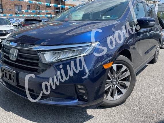 HONDA ODYSSEY 2023 5FNRL6H67PB009543 image
