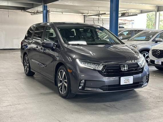 HONDA ODYSSEY 2023 5FNRL6H8XPB016777 image