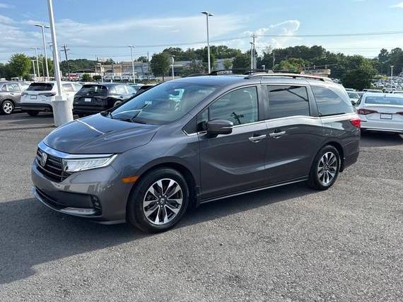 HONDA ODYSSEY 2023 5FNRL6H66PB053047 image