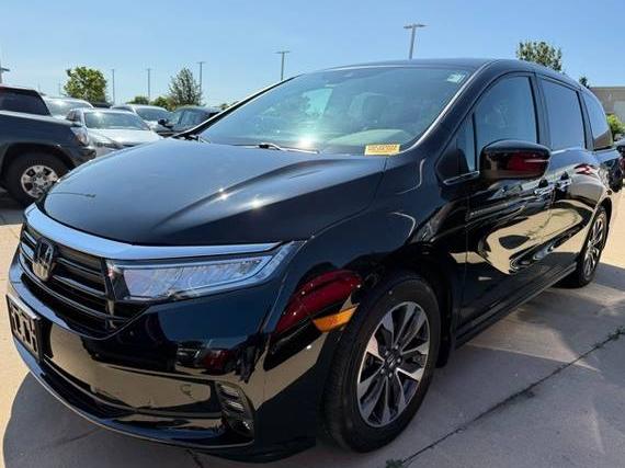 HONDA ODYSSEY 2023 5FNRL6H63PB068556 image