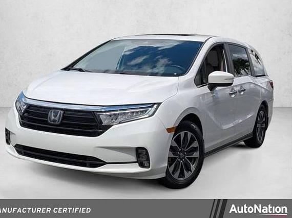 HONDA ODYSSEY 2023 5FNRL6H63PB011919 image