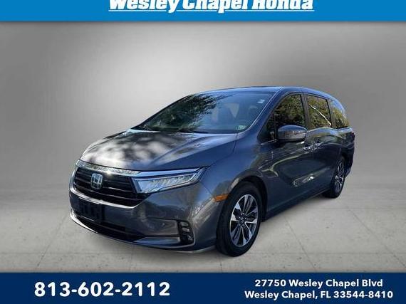 HONDA ODYSSEY 2023 5FNRL6H60PB026295 image