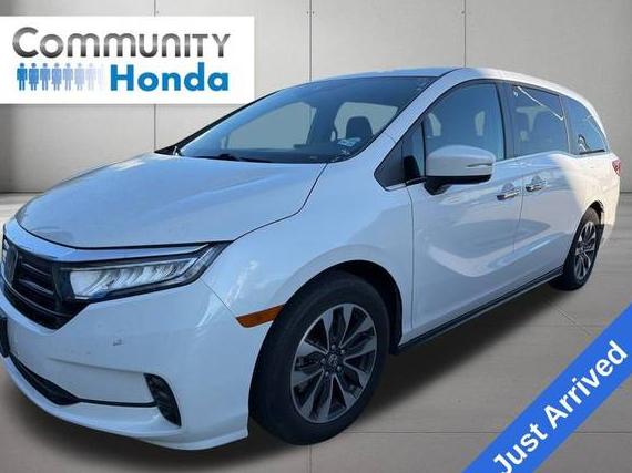 HONDA ODYSSEY 2023 5FNRL6H65PB055999 image