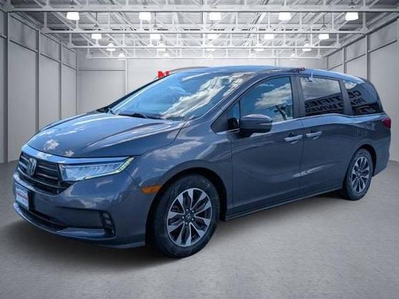HONDA ODYSSEY 2023 5FNRL6H66PB005547 image