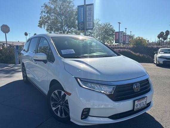 HONDA ODYSSEY 2023 5FNRL6H68PB041983 image