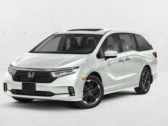 HONDA ODYSSEY 2023 5FNRL6H92PB013025 image