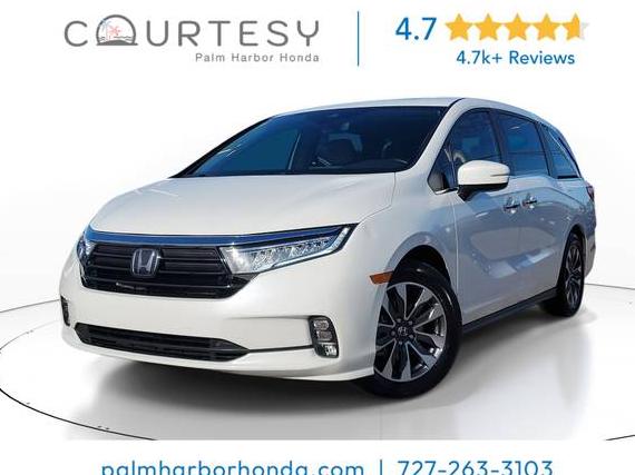 HONDA ODYSSEY 2023 5FNRL6H66PB031209 image