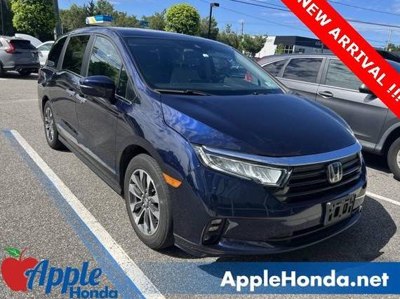 HONDA ODYSSEY 2023 5FNRL6H66PB014121 image