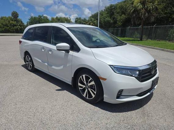 HONDA ODYSSEY 2023 5FNRL6H8XPB011580 image