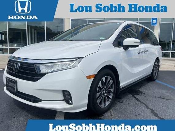 HONDA ODYSSEY 2023 5FNRL6H63PB079590 image