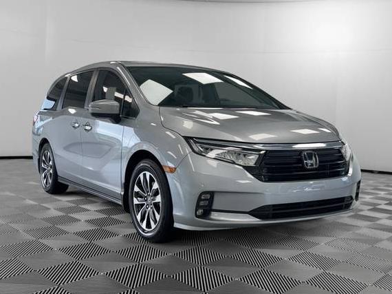HONDA ODYSSEY 2023 5FNRL6H60PB032856 image