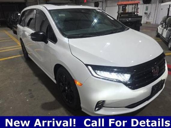 HONDA ODYSSEY 2023 5FNRL6H71PB034009 image