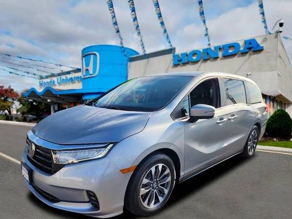 HONDA ODYSSEY 2023 5FNRL6H64PB012772 image