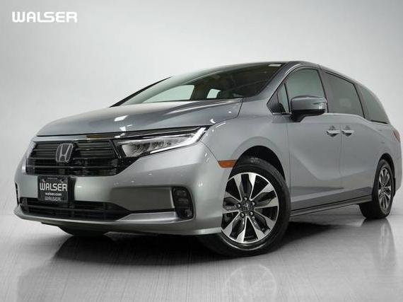 HONDA ODYSSEY 2023 5FNRL6H65PB061432 image