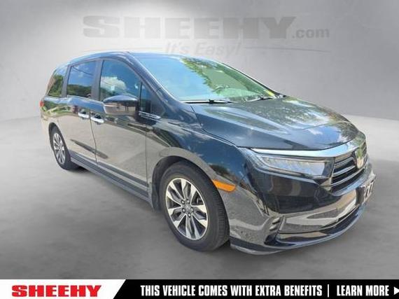 HONDA ODYSSEY 2023 5FNRL6H61PB014429 image