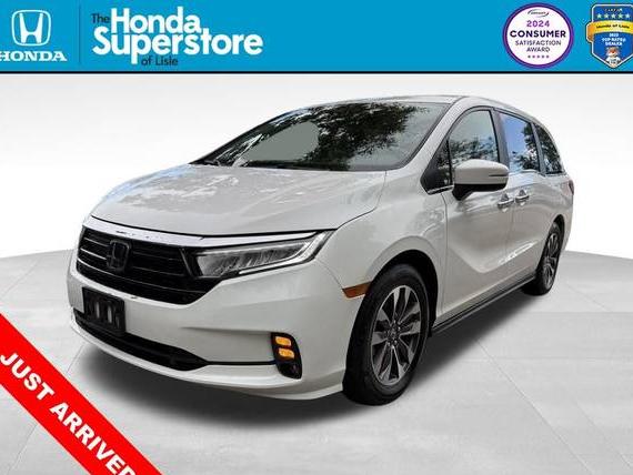 HONDA ODYSSEY 2023 5FNRL6H66PB013518 image