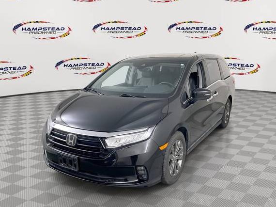 HONDA ODYSSEY 2023 5FNRL6H66PB006648 image