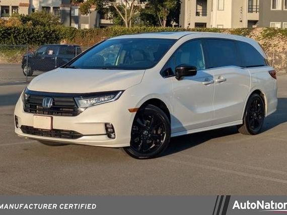 HONDA ODYSSEY 2023 5FNRL6H71PB016898 image