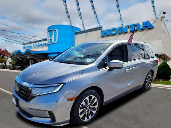 HONDA ODYSSEY 2023 5FNRL6H62PB077569 image