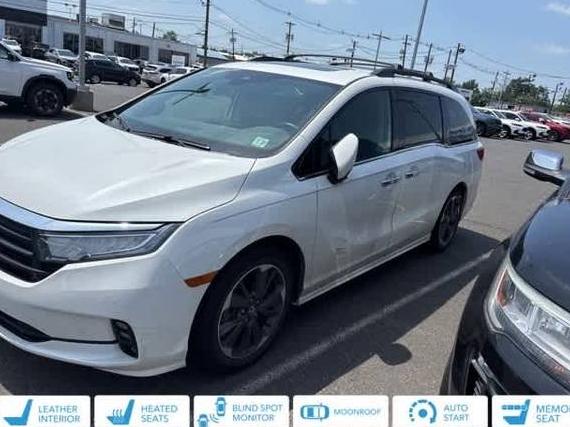 HONDA ODYSSEY 2023 5FNRL6H99PB003768 image