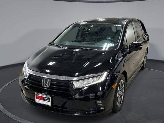 HONDA ODYSSEY 2023 5FNRL6H66PB065585 image