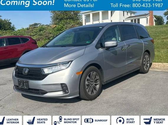 HONDA ODYSSEY 2023 5FNRL6H69PB061773 image