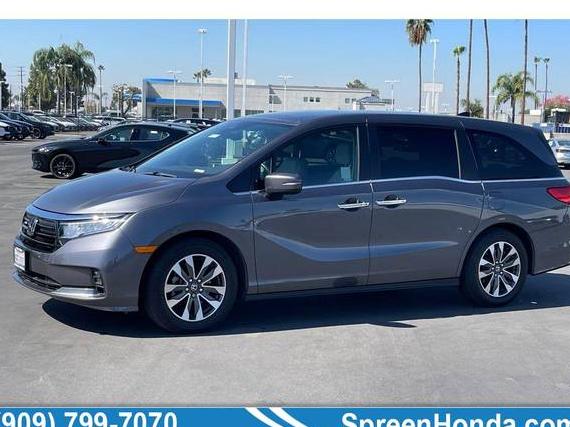 HONDA ODYSSEY 2023 5FNRL6H62PB043325 image