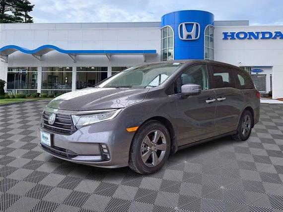 HONDA ODYSSEY 2023 5FNRL6H54PB063888 image