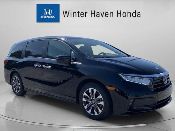 HONDA ODYSSEY 2023 5FNRL6H66PB039519 image