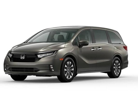 HONDA ODYSSEY 2023 5FNRL6H65PB033033 image