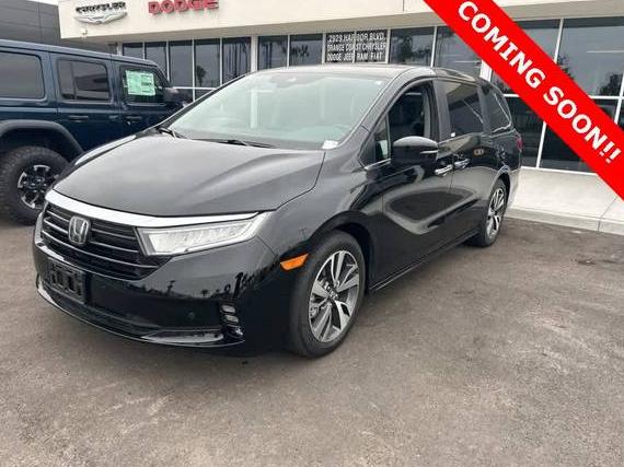 HONDA ODYSSEY 2023 5FNRL6H82PB074334 image