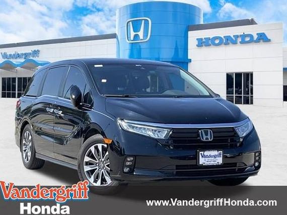 HONDA ODYSSEY 2023 5FNRL6H68PB018753 image