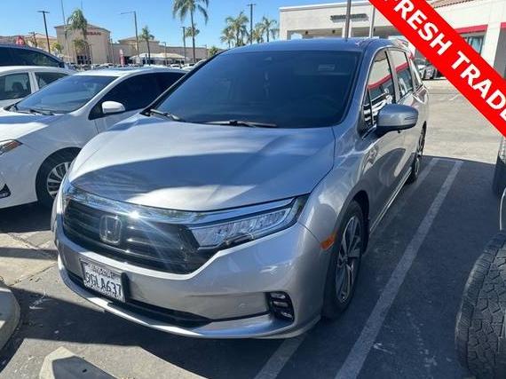 HONDA ODYSSEY 2023 5FNRL6H82PB056531 image
