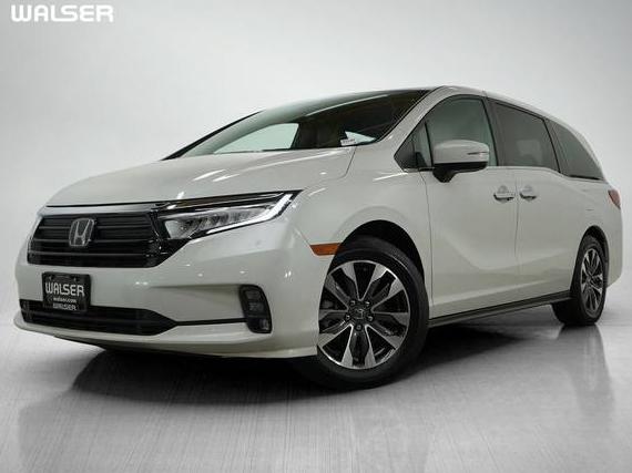 HONDA ODYSSEY 2023 5FNRL6H68PB052028 image