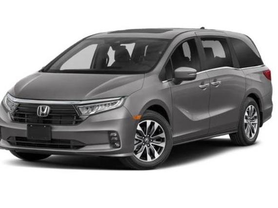 HONDA ODYSSEY 2023 5FNRL6H65PB025515 image