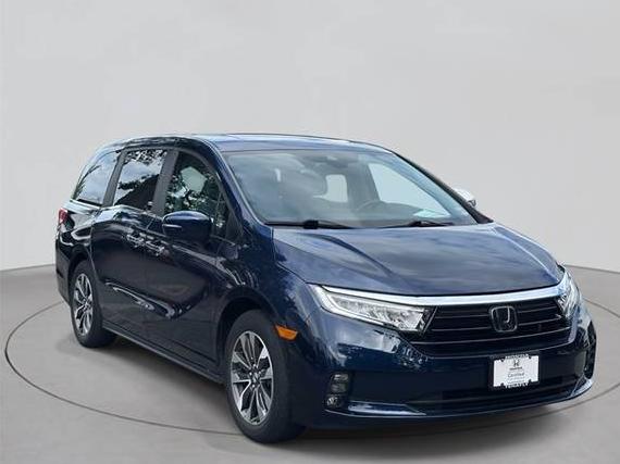HONDA ODYSSEY 2023 5FNRL6H66PB016385 image